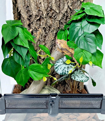 Reptile Plants, Terrarium Hanging Plant Vines, Artificial Leaves with Suction Cup, Bearded Dragon Tank Accessories for Gecko Lizard Snake Frog Tortoise Decorations - Alocasia Velvet