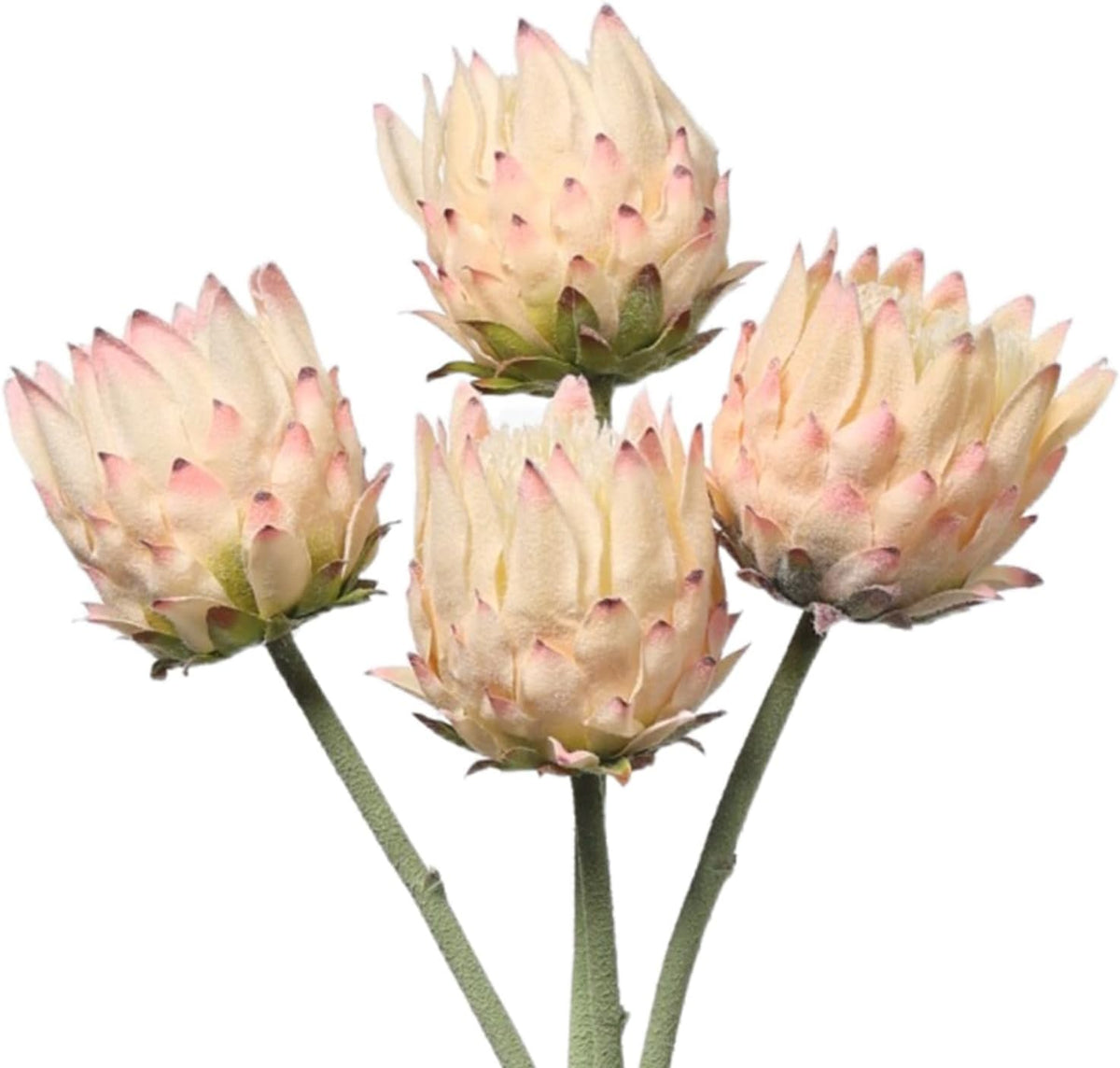 4 Piece Artificial King Protea Flower Tropical Flowers Bouquet Spring Fake Protea Cynaroides Flower Arrangements Silk Flower Bouquet for Wedding Table Centerpiece Decor