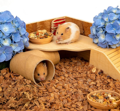2-Piece Wooden Play Platform Set for Dwarf Syrian Hamsters Gerbils Mice Degus | Natural Pine Hamster Cage Accessories for Small Pets Climbing Resting and Hiding (1 Pack)