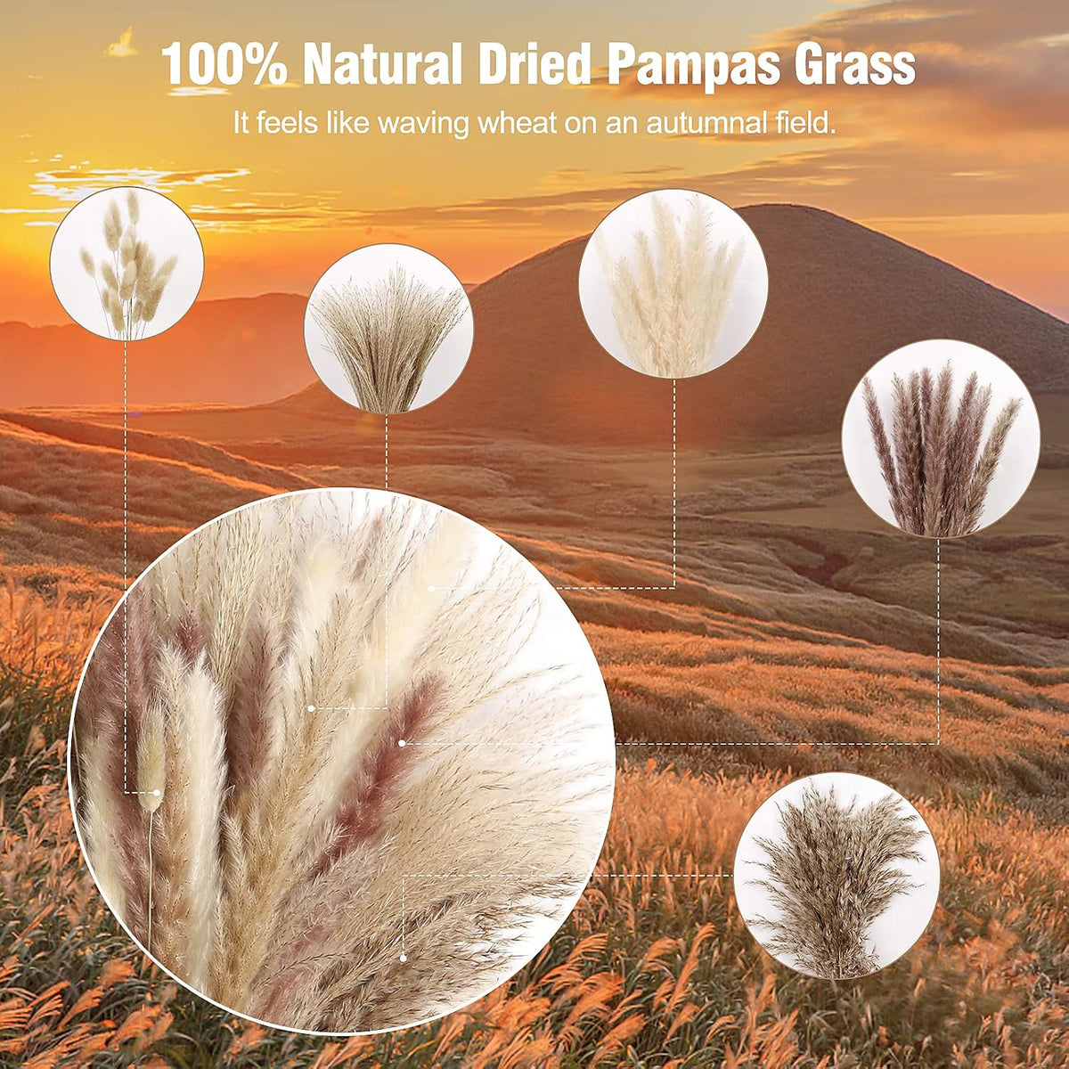 N&T NETING Dried Pampas Grass Boho Set for Crafts Centerpiece, 75Pcs