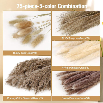 N&T NETING Dried Pampas Grass Boho Set for Crafts Centerpiece, 75Pcs