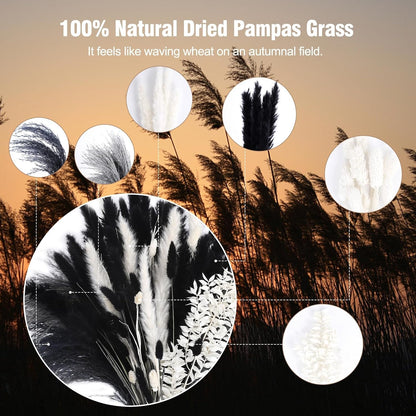 N&T NETING Dried Pampas Grass Boho Set for Crafts Centerpiece, 75Pcs