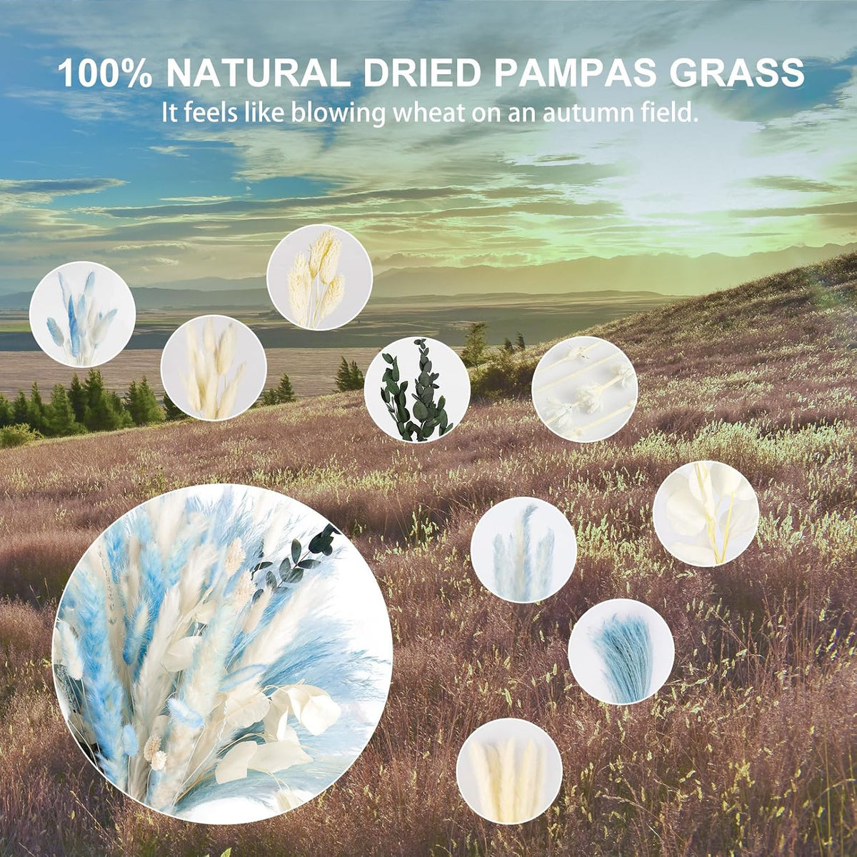 N&T NETING Dried Pampas Grass Boho Set for Crafts Centerpiece, 75Pcs