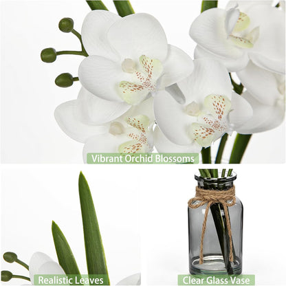 White Orchids Artificial Flowers with Vase, Small Faux Orchid Arrangement Set of 2 Fake Flowers in Glass Vases Small White Centerpieces for Kitchen Dining Room Tables Bathroom Nightstand Shelf Decor