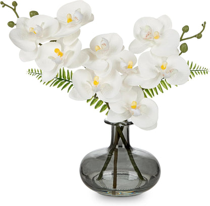 White Orchids Artificial Flowers with Vase, Small Faux Orchid Arrangement Set of 2 Fake Flowers in Glass Vases Small White Centerpieces for Kitchen Dining Room Tables Bathroom Nightstand Shelf Decor