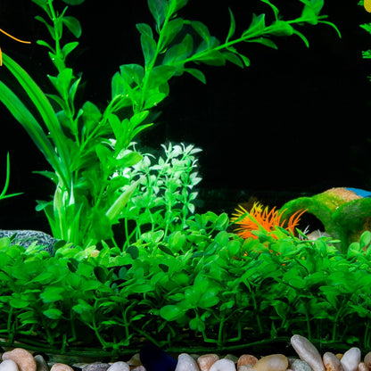 Aquarium Decorations Grass Artificial Plastic Lawn 9 inches Square Landscape Green Plants for Saltwater Freshwater Tropical Fish Tank Decoration,with 8 Pcs Suction Cups