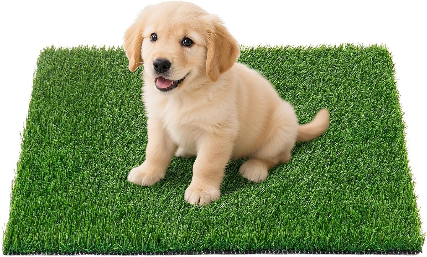 Artificial Pee Grass Pad for Dogs, Fake Grass Replacement Pads for Dog Potty Tray Training Pet Turf, Indoor and Outdoor Mat- 2 Packs (14" x 18")