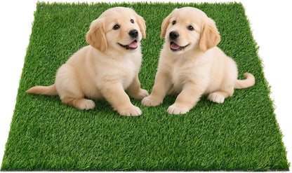 Artificial Pee Grass Pad for Dogs, Fake Grass Replacement Pads for Dog Potty Tray Training Pet Turf, Indoor and Outdoor Mat- 2 Packs (14" x 18")