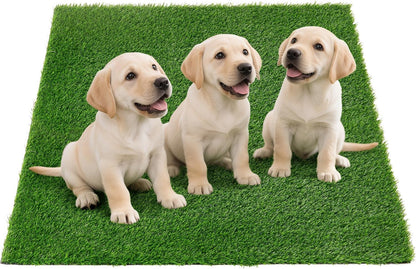 Artificial Pee Grass Pad for Dogs, Fake Grass Replacement Pads for Dog Potty Tray Training Pet Turf, Indoor and Outdoor Mat- 2 Packs (14" x 18")