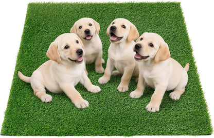 Artificial Pee Grass Pad for Dogs, Fake Grass Replacement Pads for Dog Potty Tray Training Pet Turf, Indoor and Outdoor Mat- 2 Packs (14" x 18")