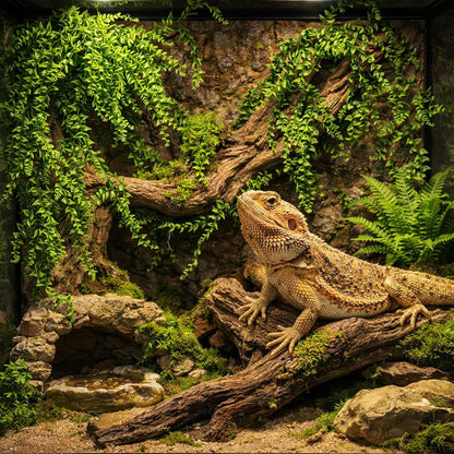 2 Pack Reptile Plants, Terrarium Hanging Plants Vines Artificial Leaves Habitat Decorations with Suction Cup for Bearded Dragon Hermit Crab Lizard Snake Geckos Chameleon
