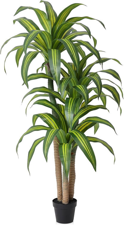 5ft Artificial Dracaena Tree with Natural Trunk