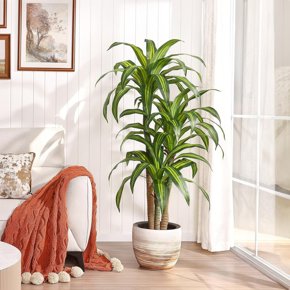 5ft Artificial Dracaena Tree with Natural Trunk