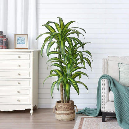 5ft Artificial Dracaena Tree with Natural Trunk