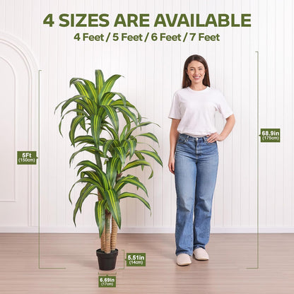 5ft Artificial Dracaena Tree with Natural Trunk