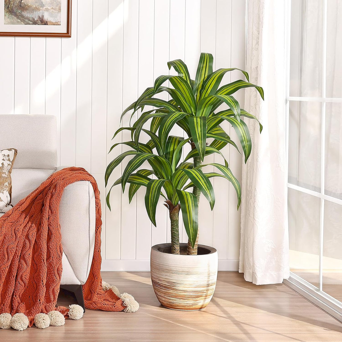5ft Artificial Dracaena Tree with Natural Trunk
