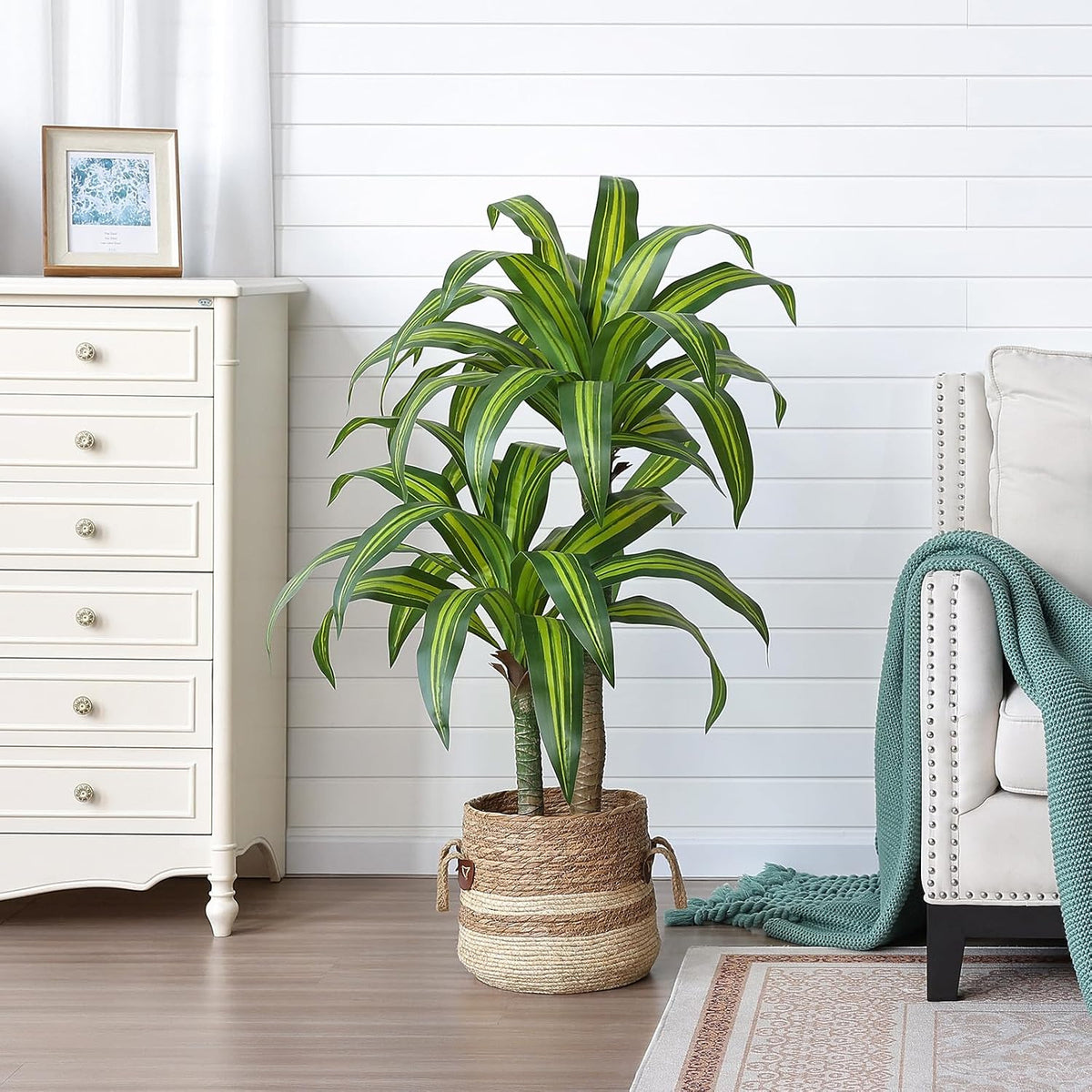 5ft Artificial Dracaena Tree with Natural Trunk