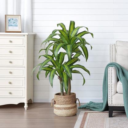 5ft Artificial Dracaena Tree with Natural Trunk