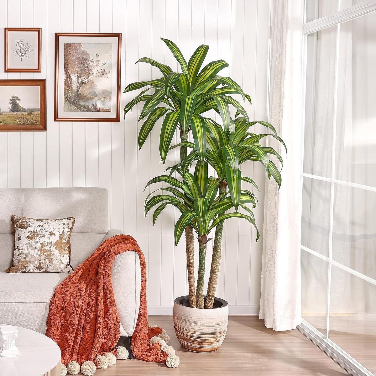 5ft Artificial Dracaena Tree with Natural Trunk