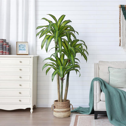 5ft Artificial Dracaena Tree with Natural Trunk