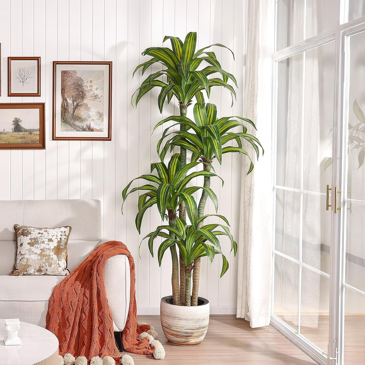 5ft Artificial Dracaena Tree with Natural Trunk