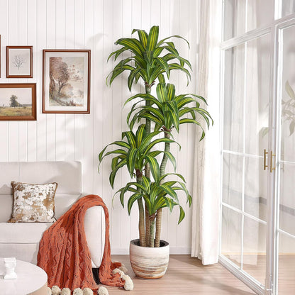 5ft Artificial Dracaena Tree with Natural Trunk