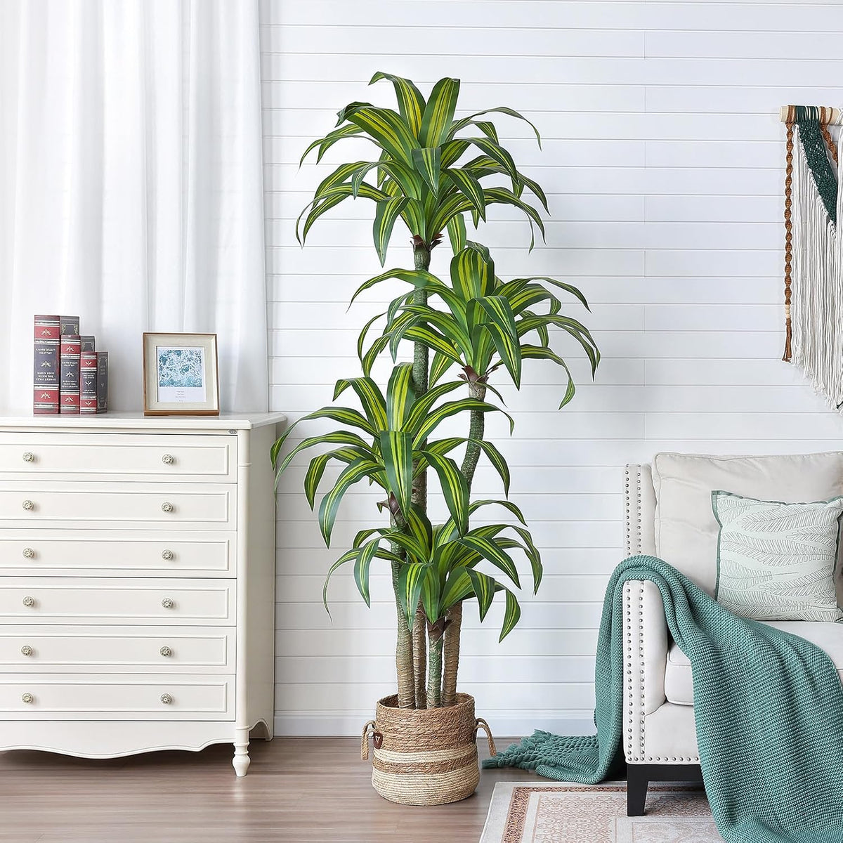 5ft Artificial Dracaena Tree with Natural Trunk