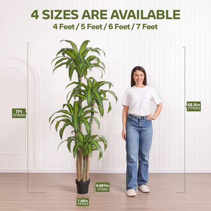 5ft Artificial Dracaena Tree with Natural Trunk