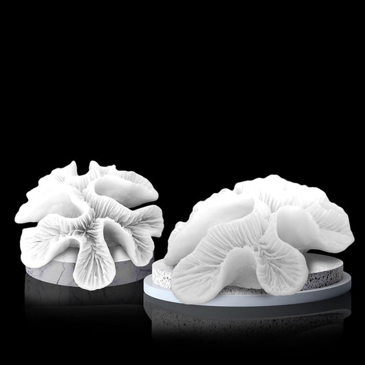 Pack of 2 White Coral Decor, White Coral Reef, Faux Coral Decor Faux Coral Decor Resin Coral Décor Beach Home Ornaments for Beach House Decorative Coral Pieces for Aquariums Fish Tanks