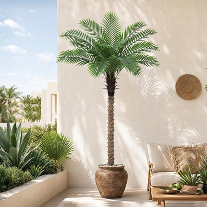 6FT Tall Artificial Coconut Tree with Black Pot, Realistic Faux Coconut Palm Floor Plant, for Living Room, Patio, Office, Wedding & Tropical Theme. (1, Black-Pot, 6FT)