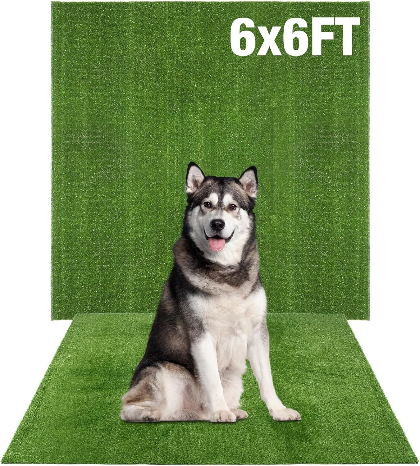 GLOBREEN Grass Pad for Dog Large Size - 2FTx6FT, Dog Potty Training Turf, Indoor Outdoor Pets Pee Fake Grass for Balcony Patio Yard
