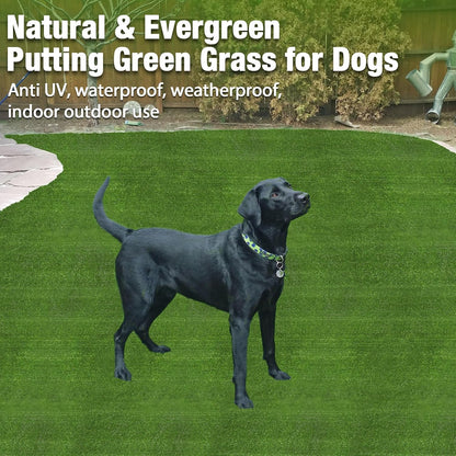 GLOBREEN Grass Pad for Dog Large Size - 2FTx6FT, Dog Potty Training Turf, Indoor Outdoor Pets Pee Fake Grass for Balcony Patio Yard