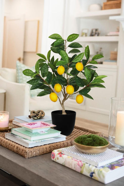 Artificial Potted Plants 19.7 inches Small Fake Lemon Tree Artificial Lemons Citrus Tree with Black Pot Faux Plants Indoor Lemon Decorations for Home,Office, Living Room Table, Desk