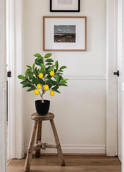 Artificial Potted Plants 19.7 inches Small Fake Lemon Tree Artificial Lemons Citrus Tree with Black Pot Faux Plants Indoor Lemon Decorations for Home,Office, Living Room Table, Desk
