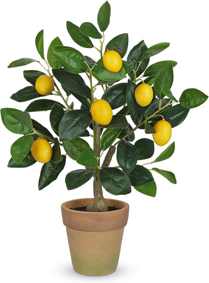 Artificial Potted Plants 19.7 inches Small Fake Lemon Tree Artificial Lemons Citrus Tree with Black Pot Faux Plants Indoor Lemon Decorations for Home,Office, Living Room Table, Desk