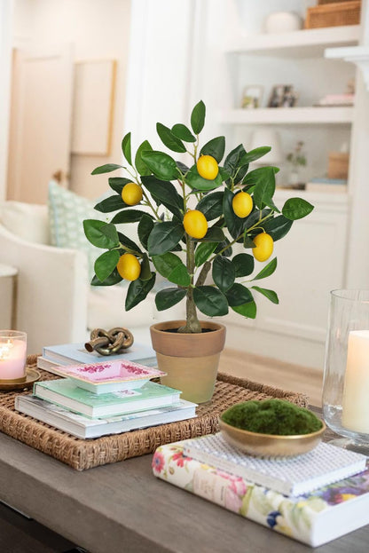 Artificial Potted Plants 19.7 inches Small Fake Lemon Tree Artificial Lemons Citrus Tree with Black Pot Faux Plants Indoor Lemon Decorations for Home,Office, Living Room Table, Desk