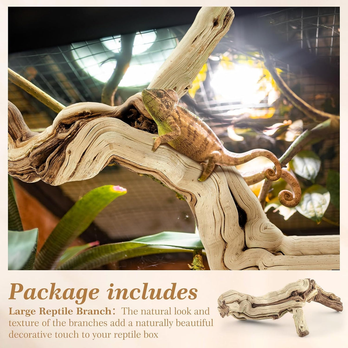 18-20" Large Reptile Driftwood Branch for Bearded Dragon Gecko