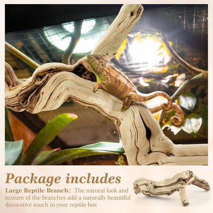 18-20" Large Reptile Driftwood Branch for Bearded Dragon Gecko
