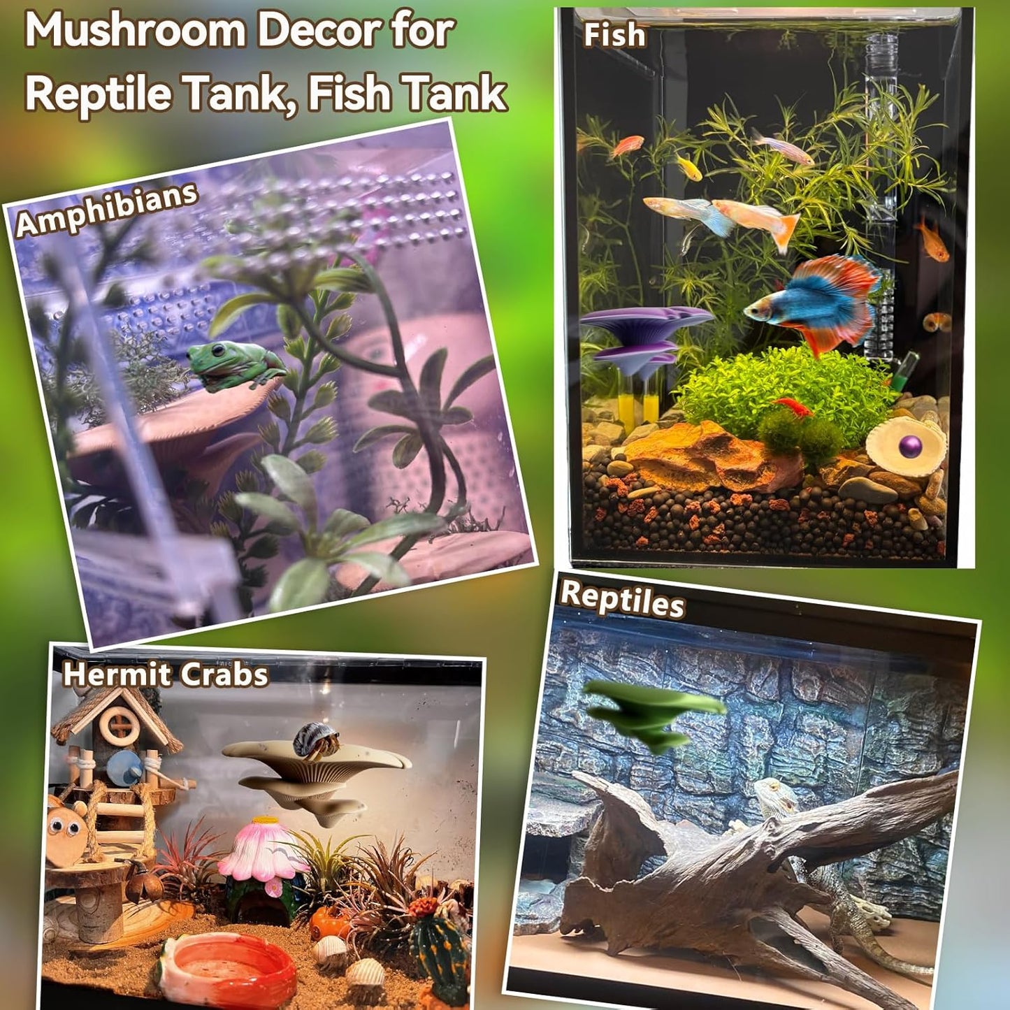 Mushroom Terrarium Decor & Climbing Hold Kit,with 12 Rock Holds, Suction Cups & Adhesive Dots for Geckos, Frogs, Small Lizards & Snakes in Dry/Semi-Moist Habitats (Desert Beige)