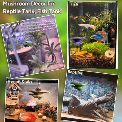 Mushroom Terrarium Decor & Climbing Hold Kit,with 12 Rock Holds, Suction Cups & Adhesive Dots for Geckos, Frogs, Small Lizards & Snakes in Dry/Semi-Moist Habitats (Desert Beige)