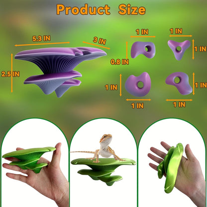 Mushroom Terrarium Decor & Climbing Hold Kit,with 12 Rock Holds, Suction Cups & Adhesive Dots for Geckos, Frogs, Small Lizards & Snakes in Dry/Semi-Moist Habitats (Desert Beige)