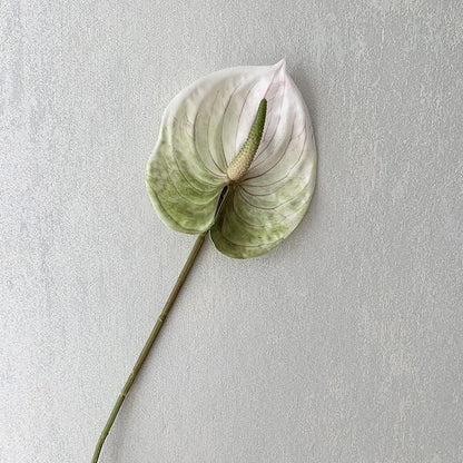 5pcs Dark Green Artificial Anthurium Lily Flowers Permanent Tropical Flower | 24inch Tropical Flower for Home Decor Bouquet Bridal Wedding Festival Party,Store Decor Small Flower Bouquet Fill Accessories