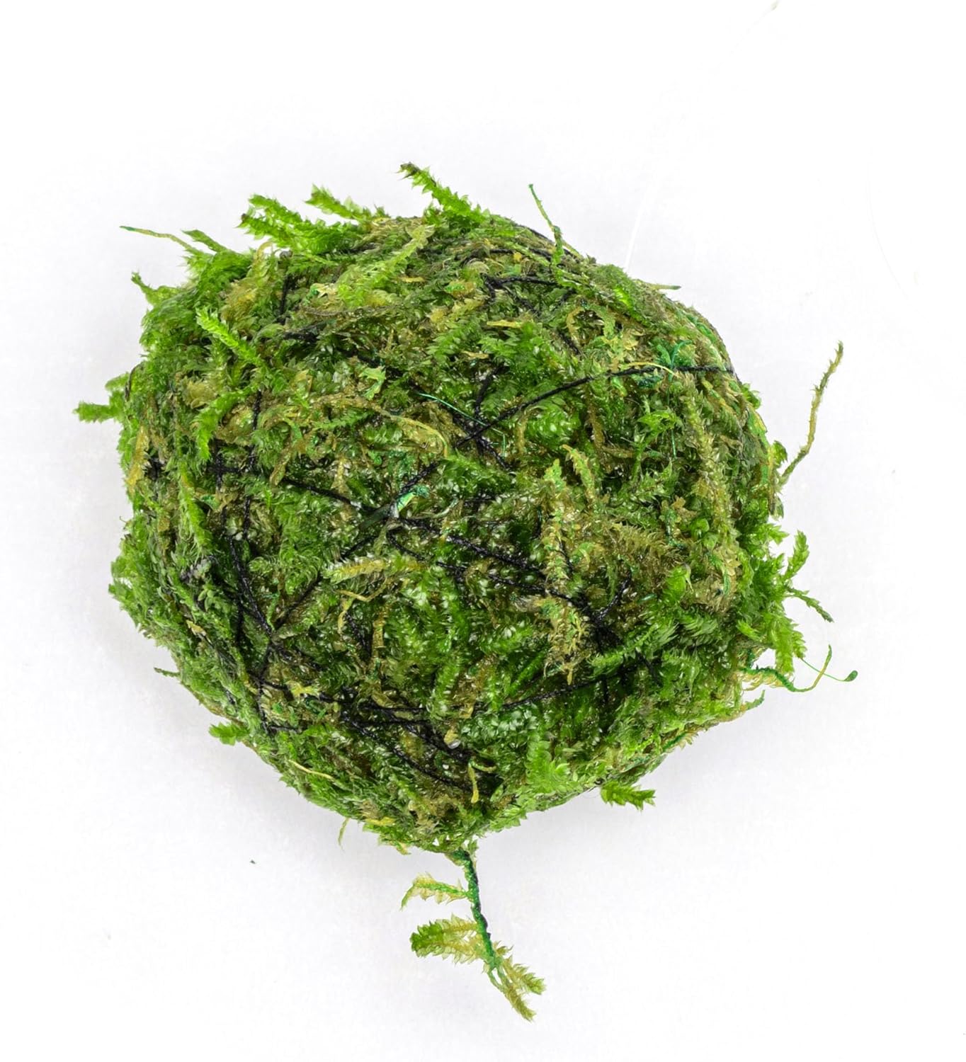 Live Planted Decor - Mini Bolbitis on Clay Moss Ball - Deep Green Fern Leaves Freshwater Aquatic Plant, Low Light, Foreground to Midground Tank Placement for Aquascaping - 1 Pack