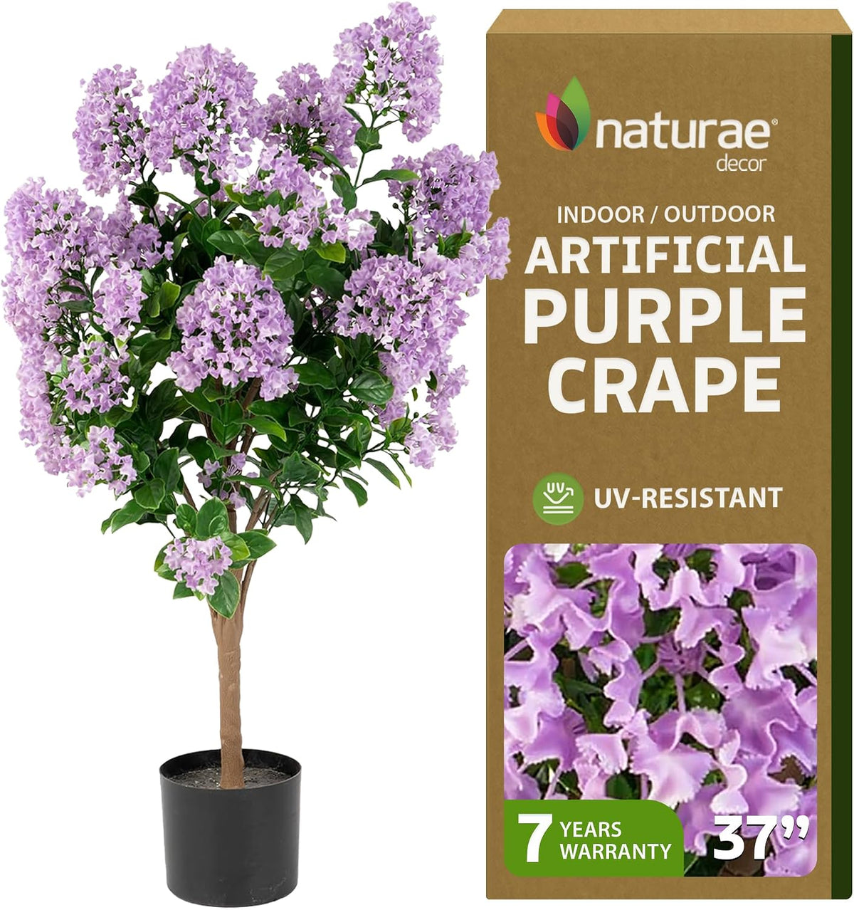 Purple Crape Myrtle Tree