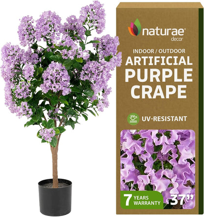 Purple Crape Myrtle Tree