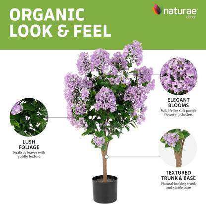 Purple Crape Myrtle Tree