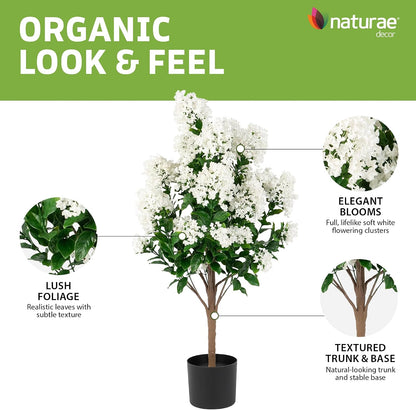 Purple Crape Myrtle Tree