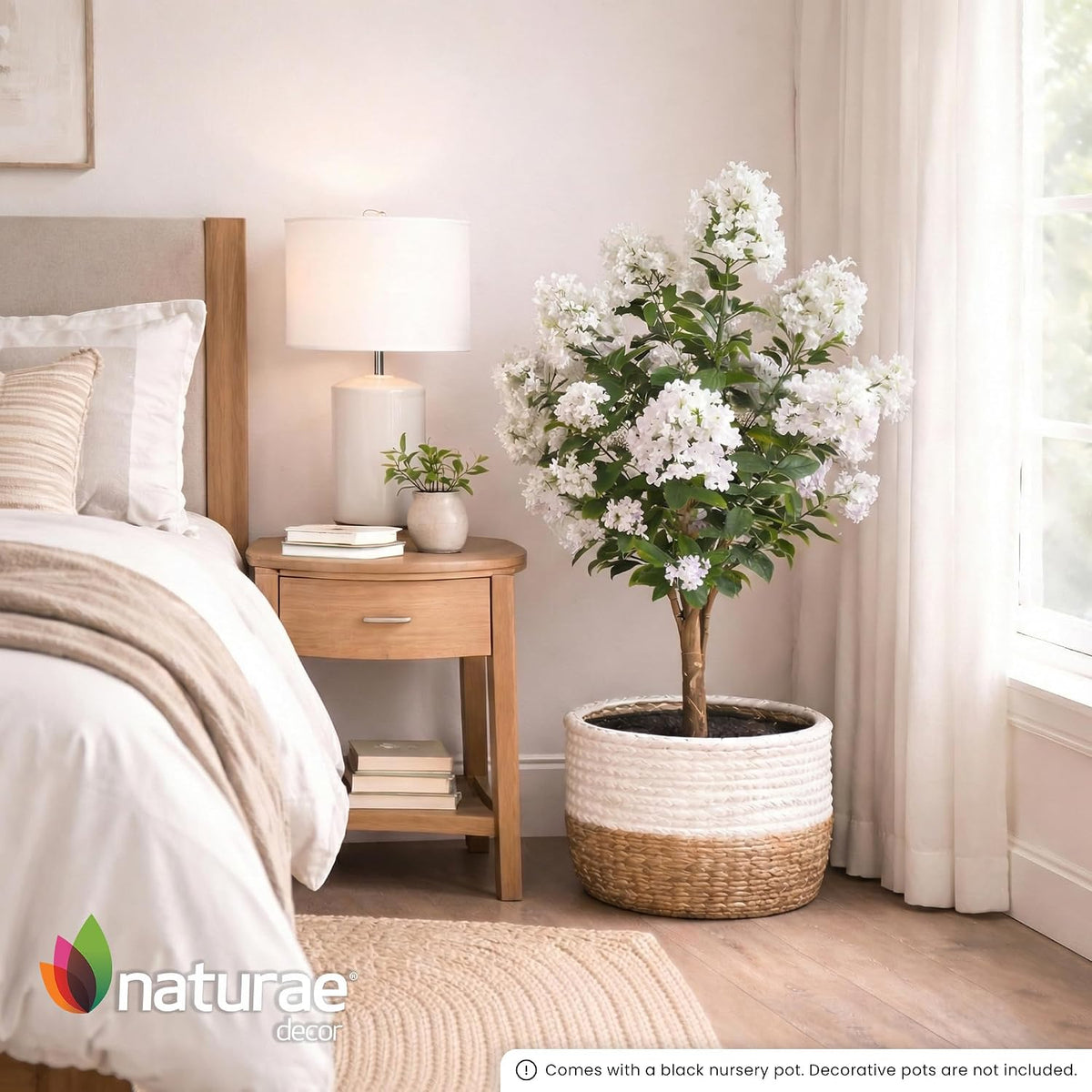 Purple Crape Myrtle Tree
