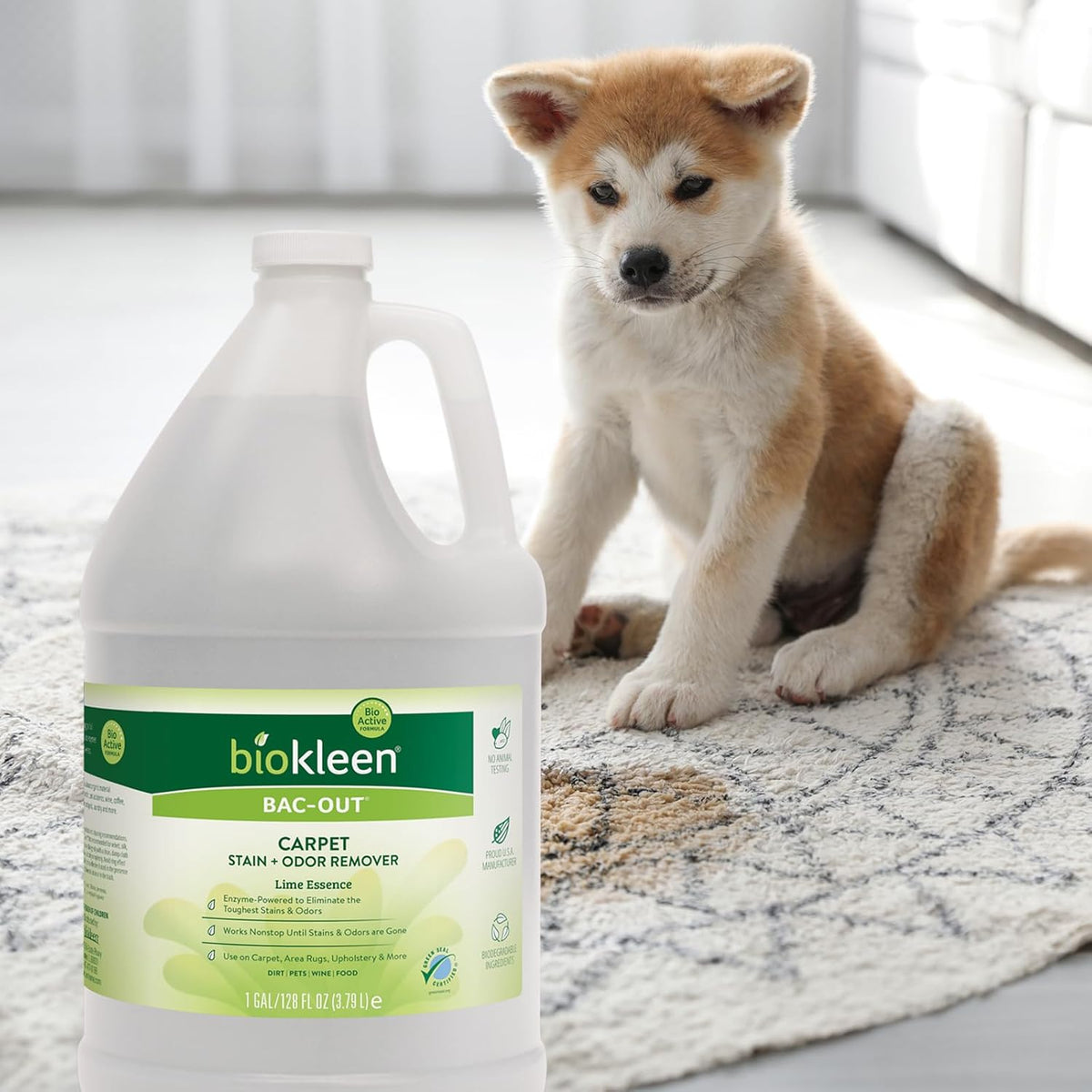 Bac-Out Enzyme Cleaner Spray and Stain & Odor Remover for Pet Stains, Laundry, Diapers, Wine, Carpets, & More, Eco-Friendly, Non-Toxic, Lime Scent, 32 Ounces