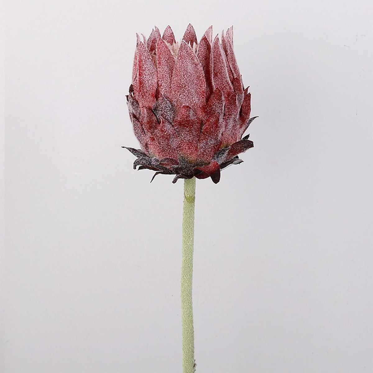 5PCS Artificial King Protea Flowers Real Touch Protea Flower Arrangements Fake King Flowers Stems for Home Garden Wedding Party Decoration